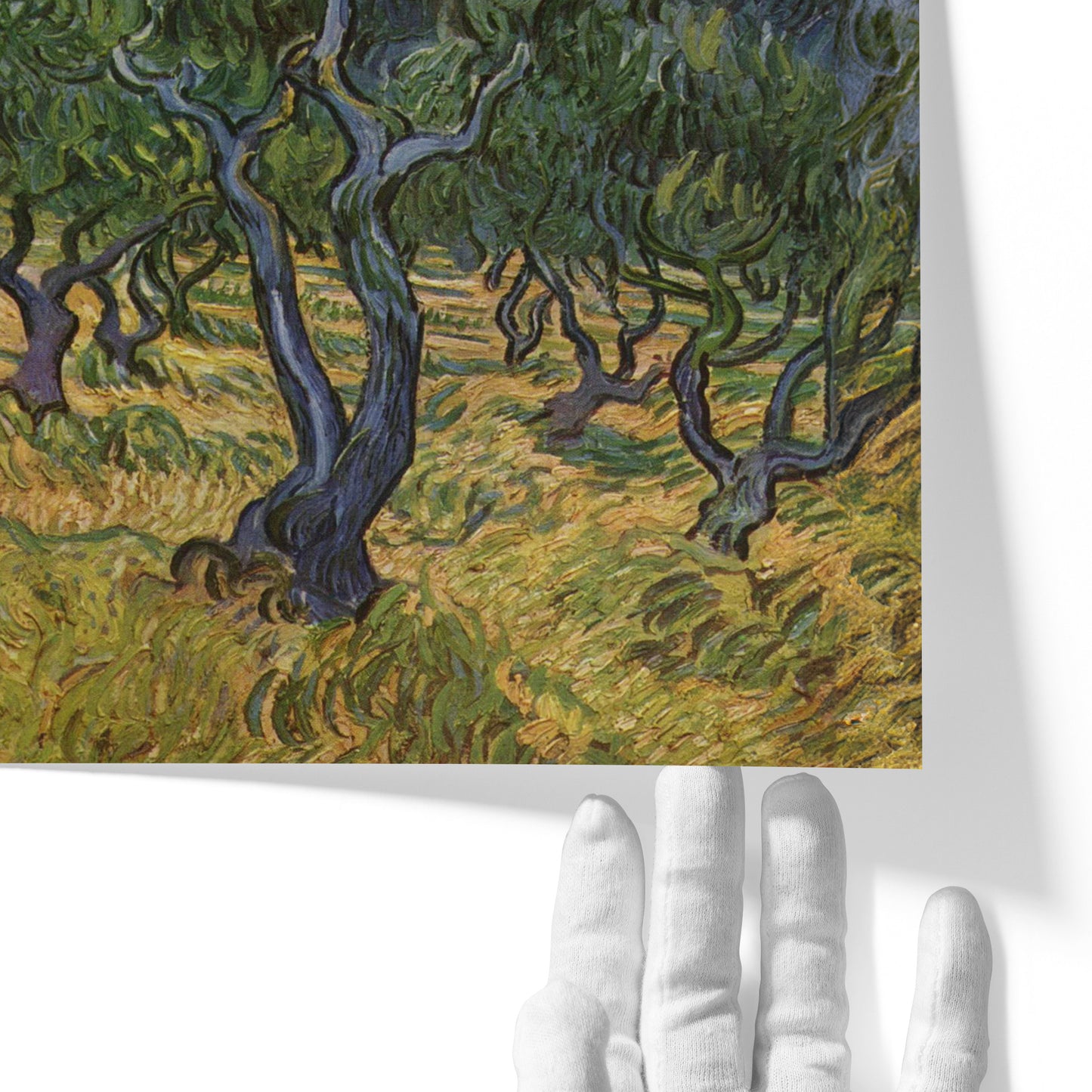 Olive Trees | Vincent van Gogh | 1889