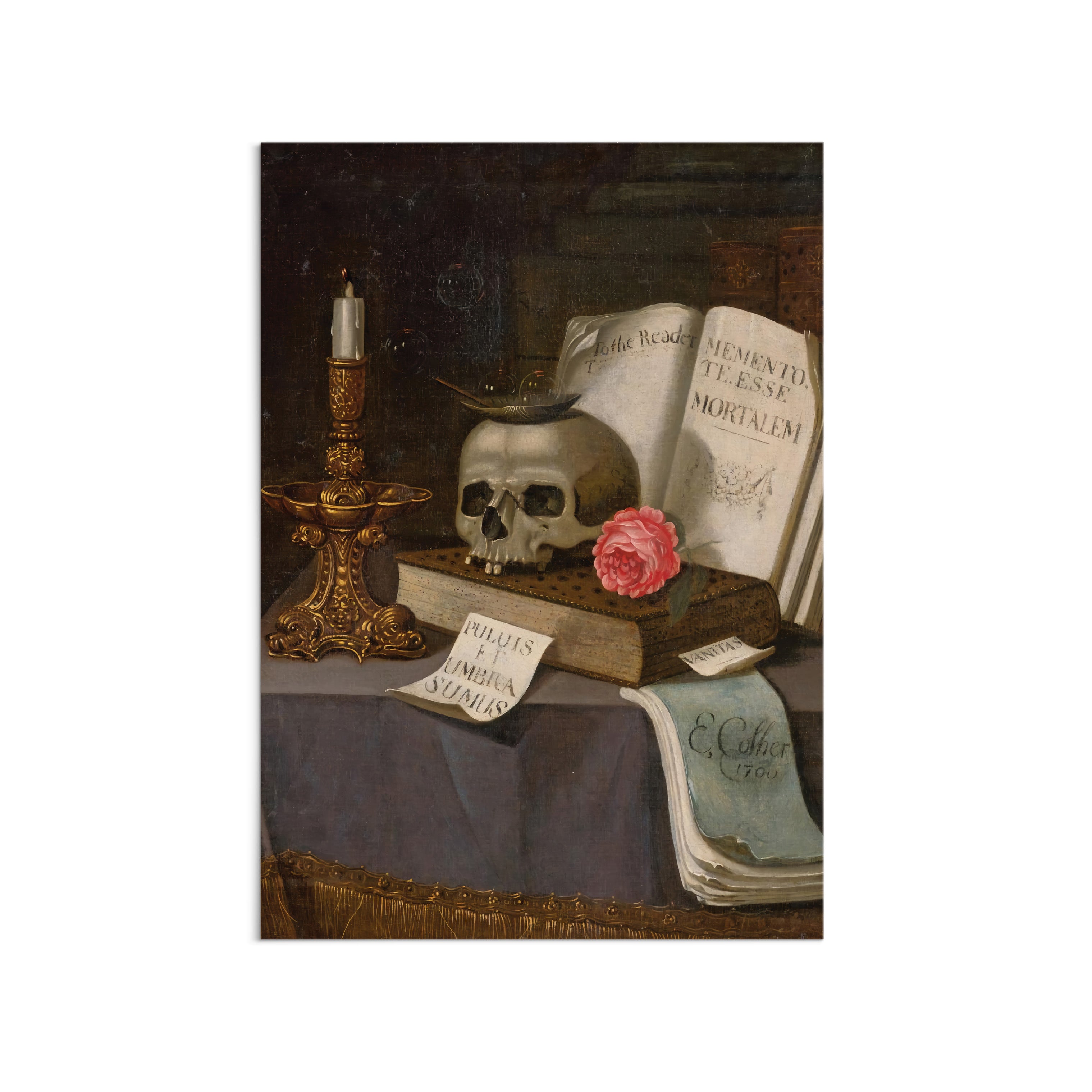 Framed Skull vanitas still selling life acrylic painting