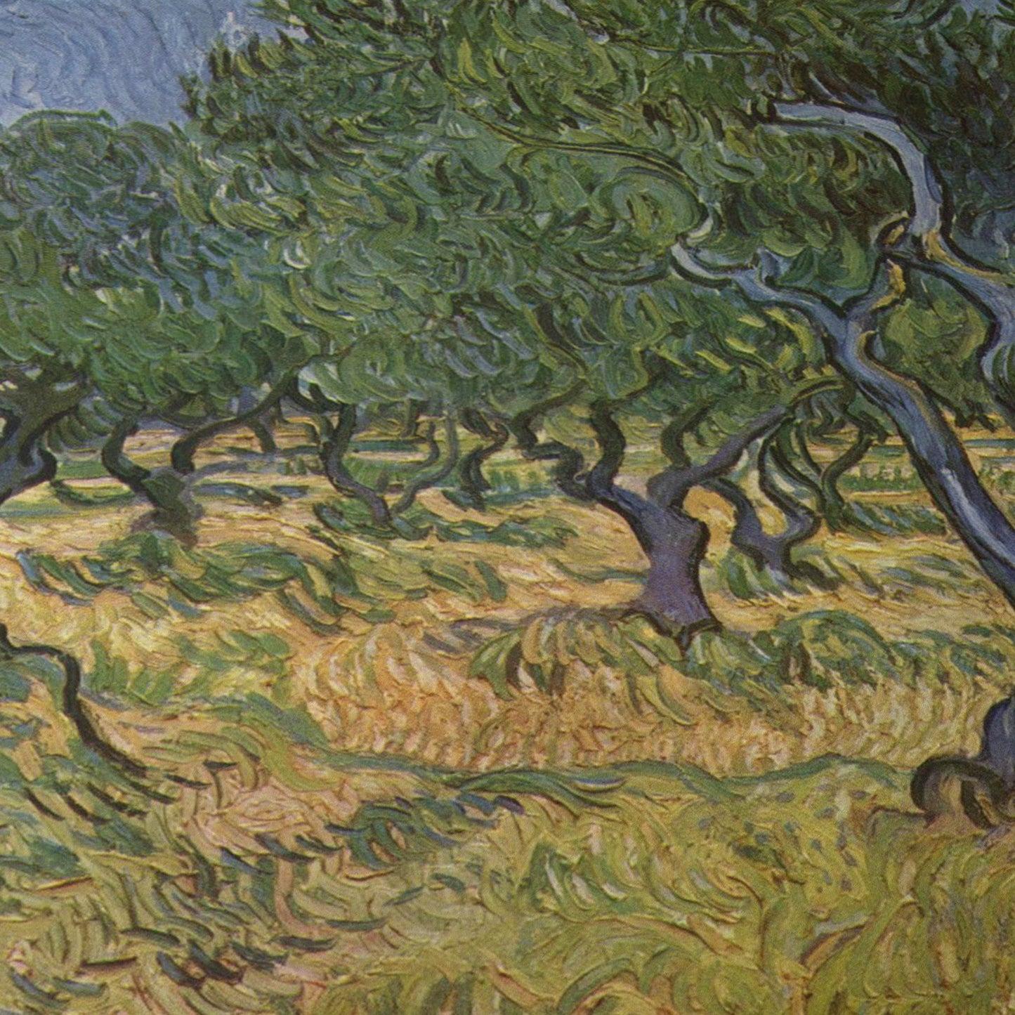 Olive Trees | Vincent van Gogh | 1889