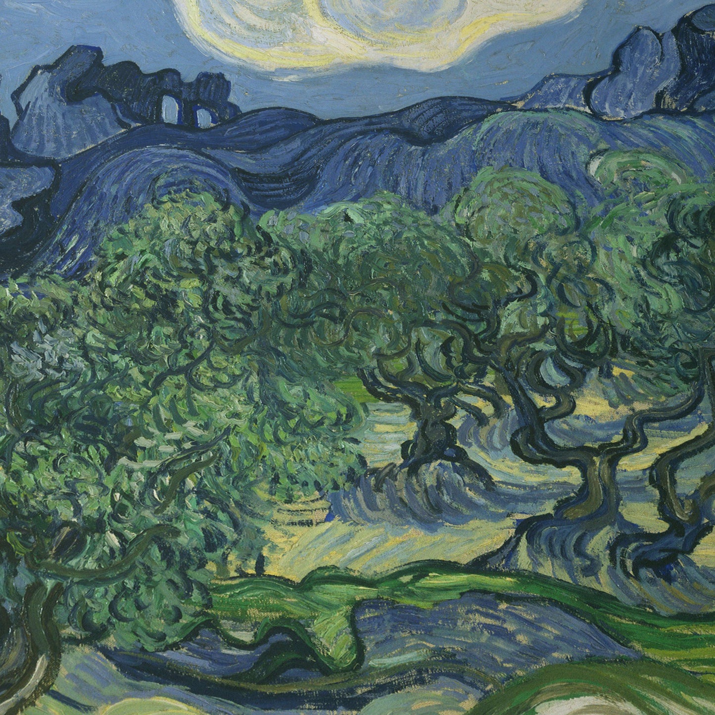 The Olive Trees | Vincent van Gogh | 1889