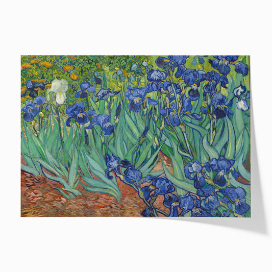 Les Iris | Vincent van Gogh | 1889