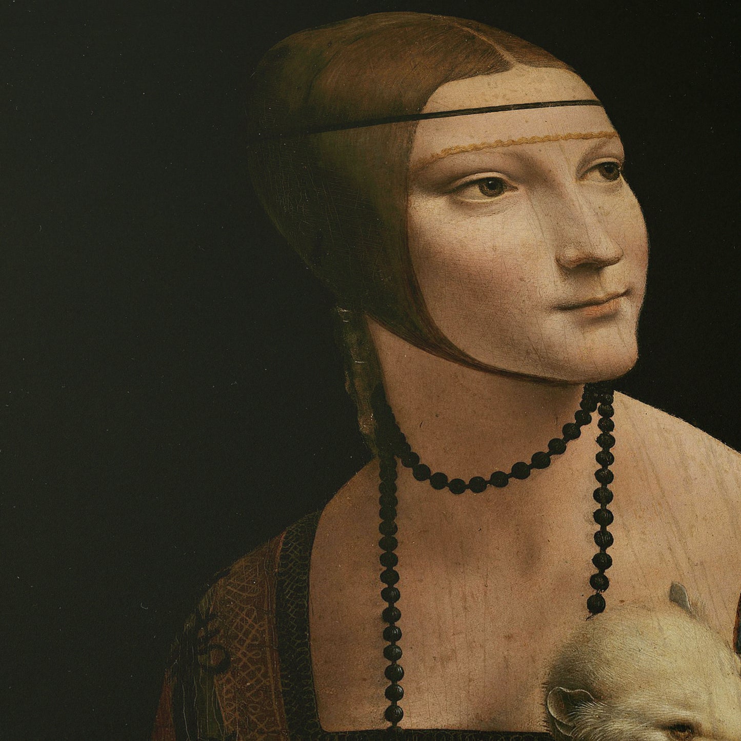 Lady with an Ermine | Leonardo da Vinci | 1489