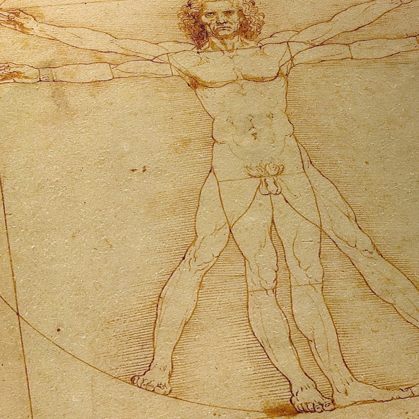 Vitruvian Man | Leonardo da Vinci | 1490