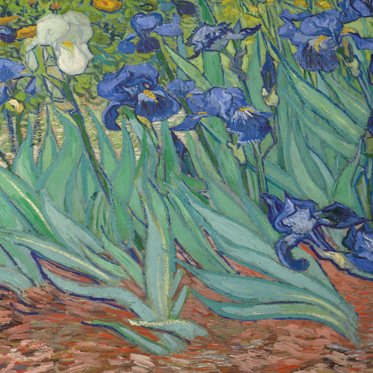 Les Iris | Vincent van Gogh | 1889