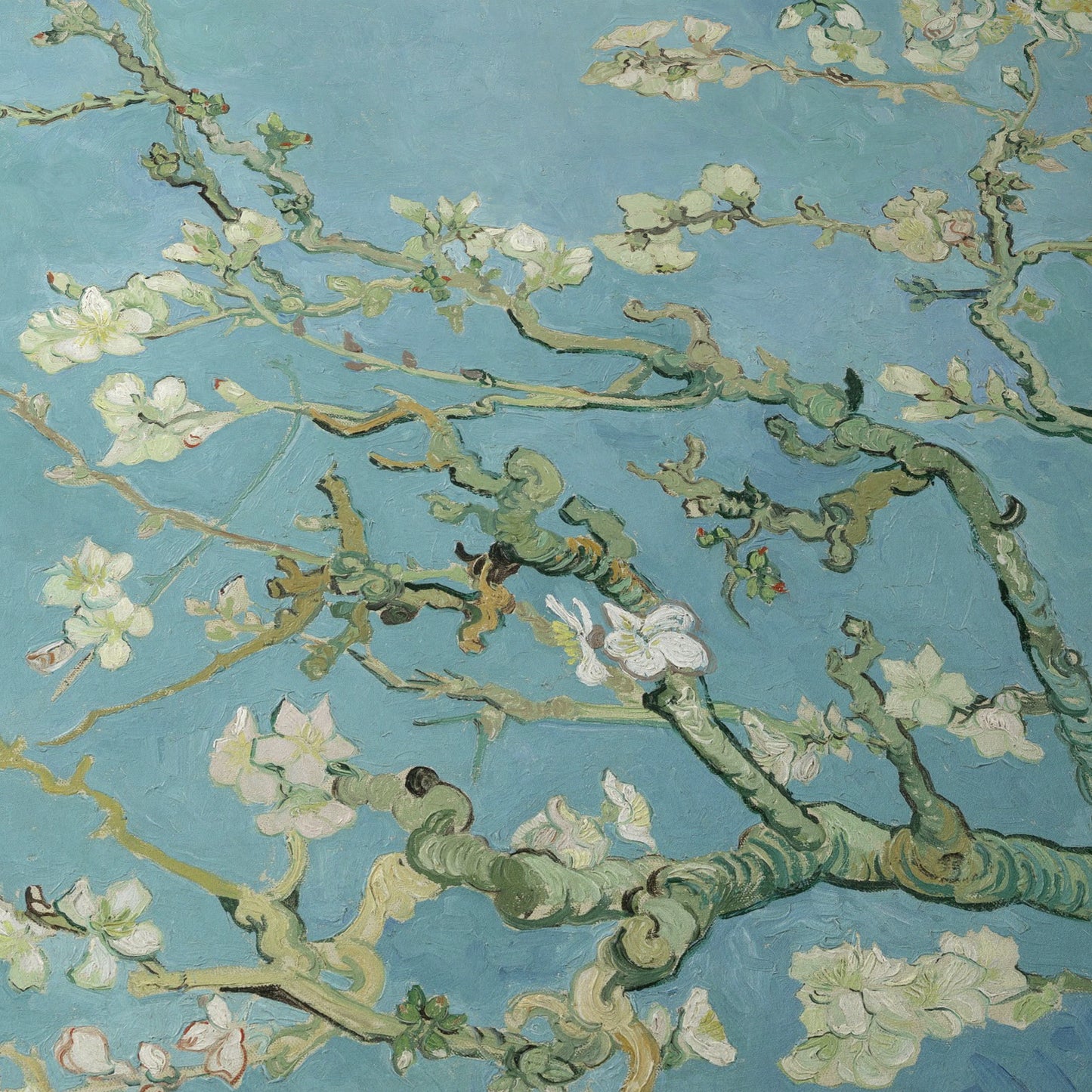 Almond Blossom | Vincent van Gogh | 1890