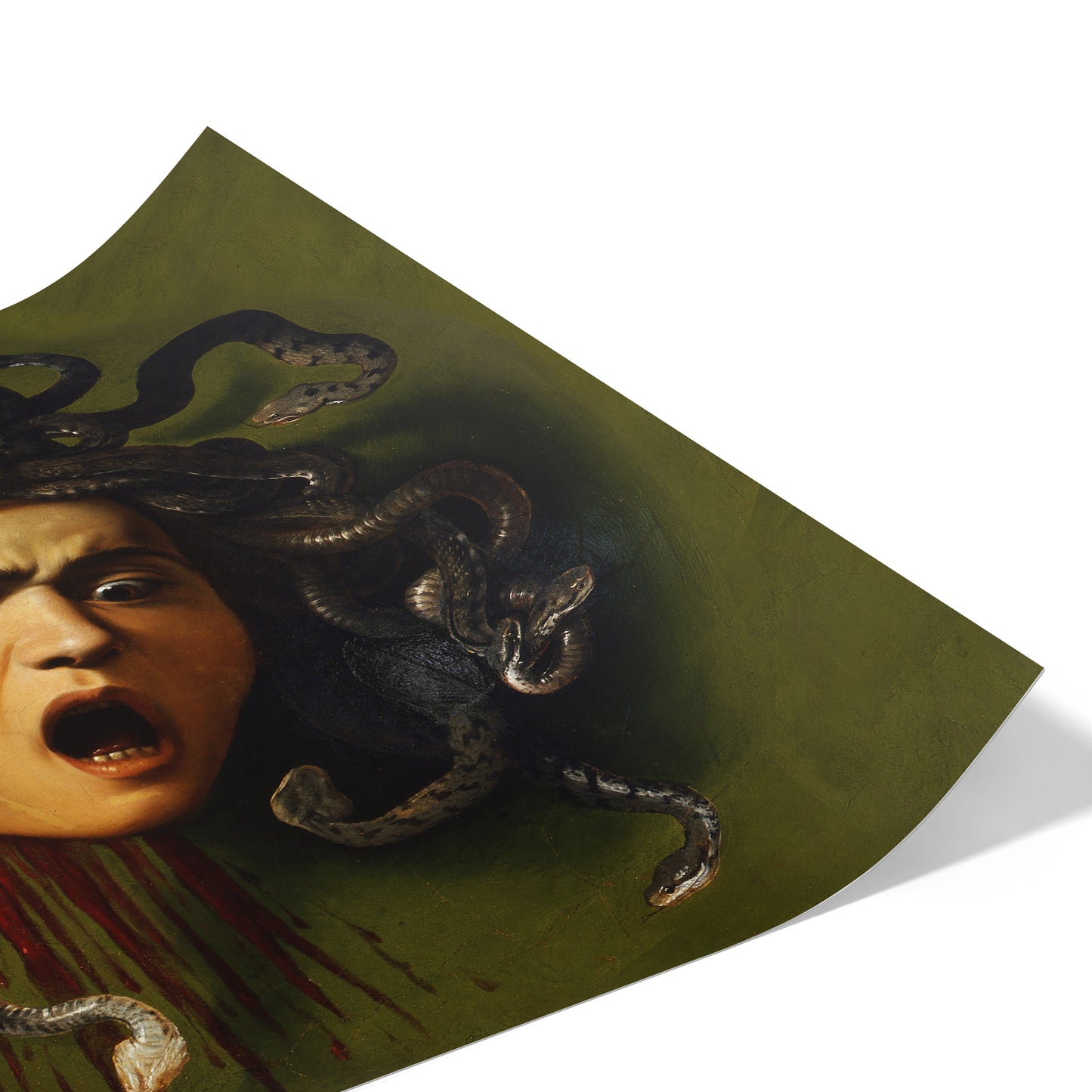 Medusa | Caravaggio | 1597