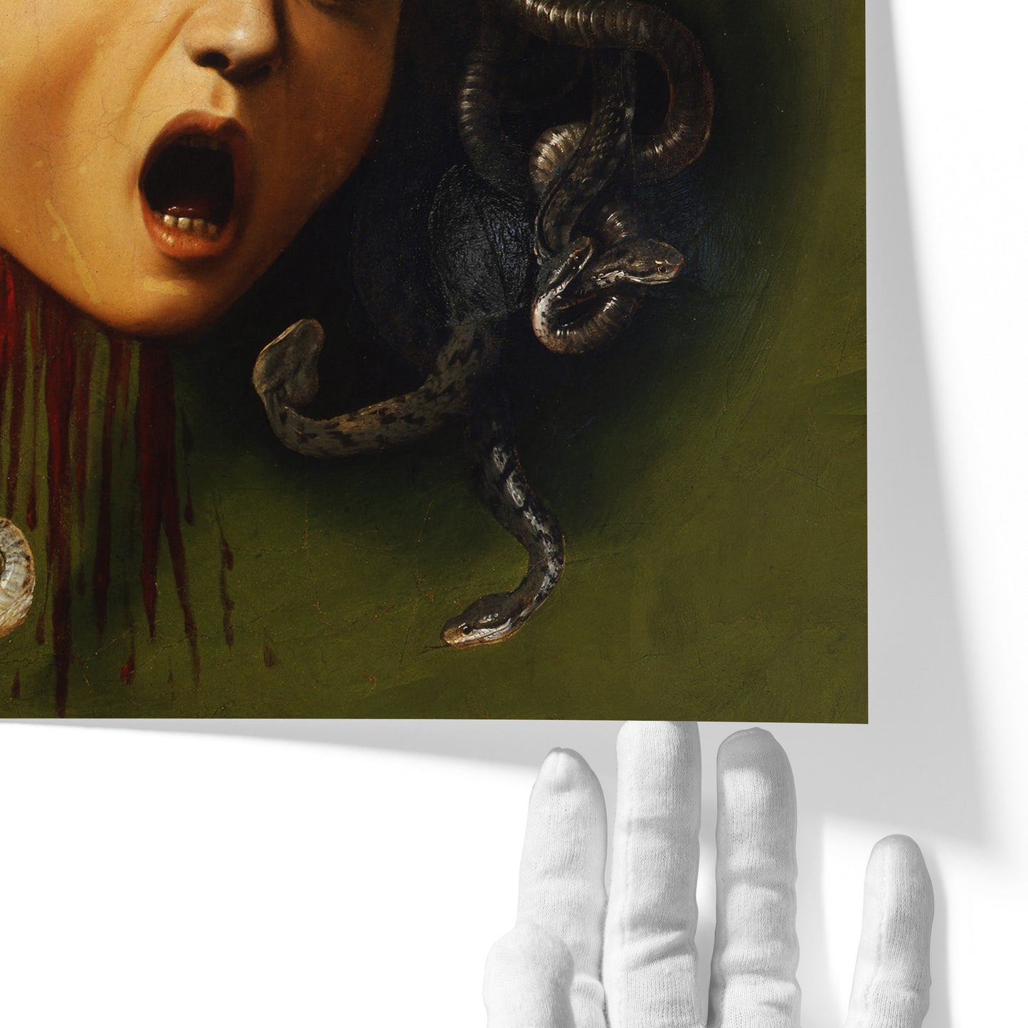 Medusa | Caravaggio | 1597