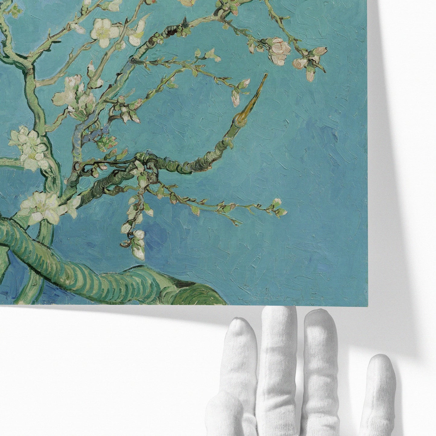 Almond Blossom | Vincent van Gogh | 1890