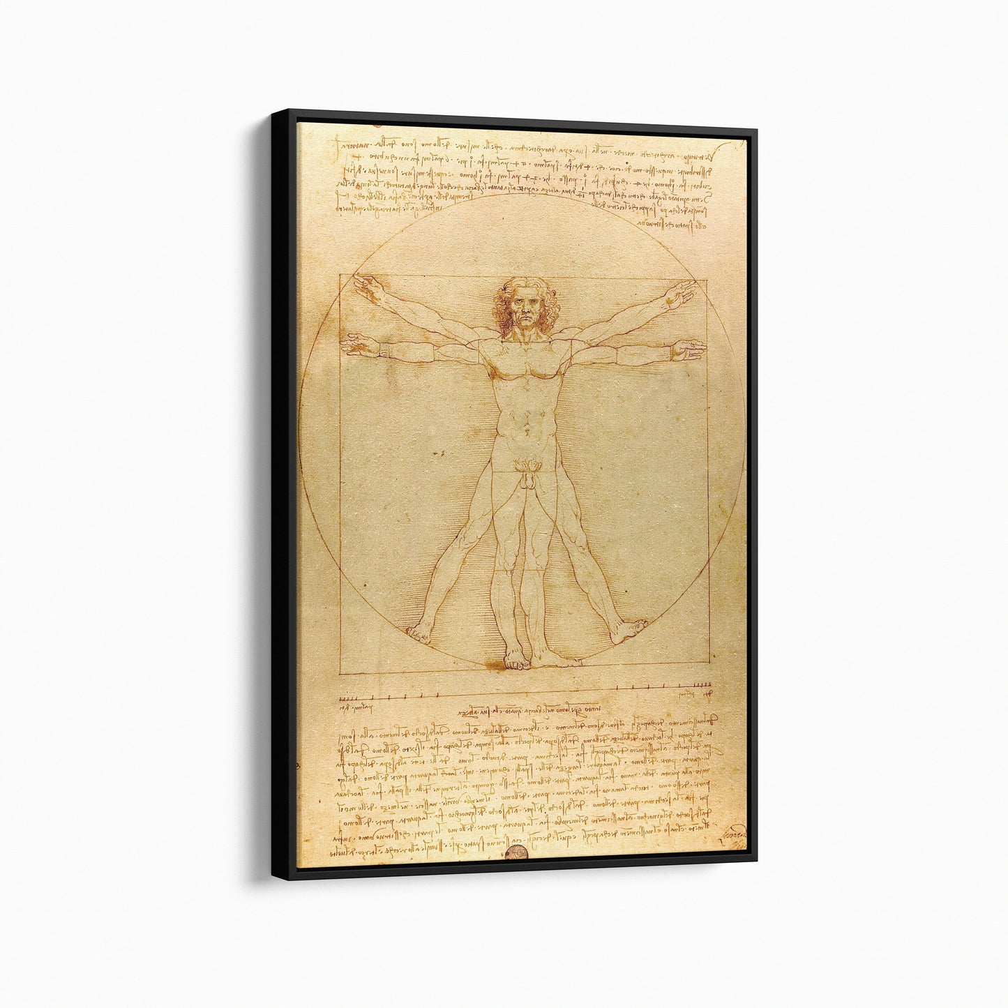 Vitruvian Man | Leonardo da Vinci | 1490