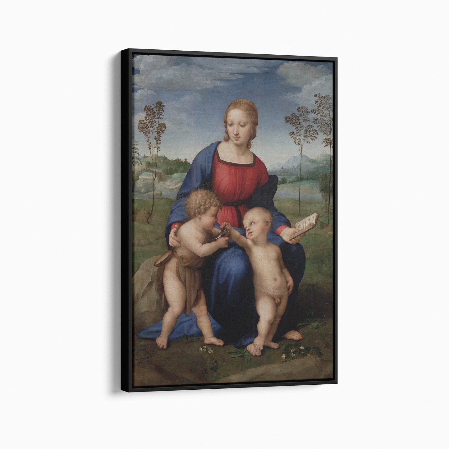 Madonna of the Goldfinch  | Raphael | 1505