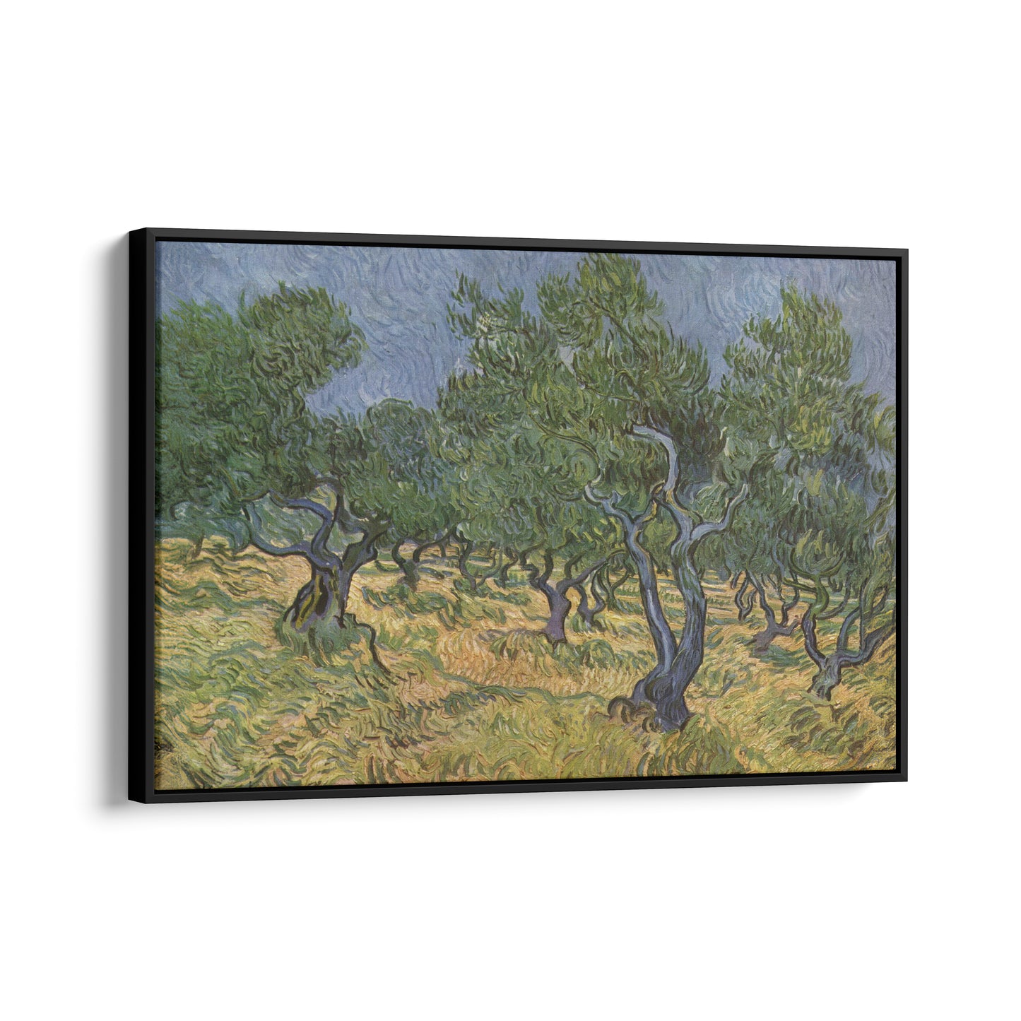 Olive Trees | Vincent van Gogh | 1889