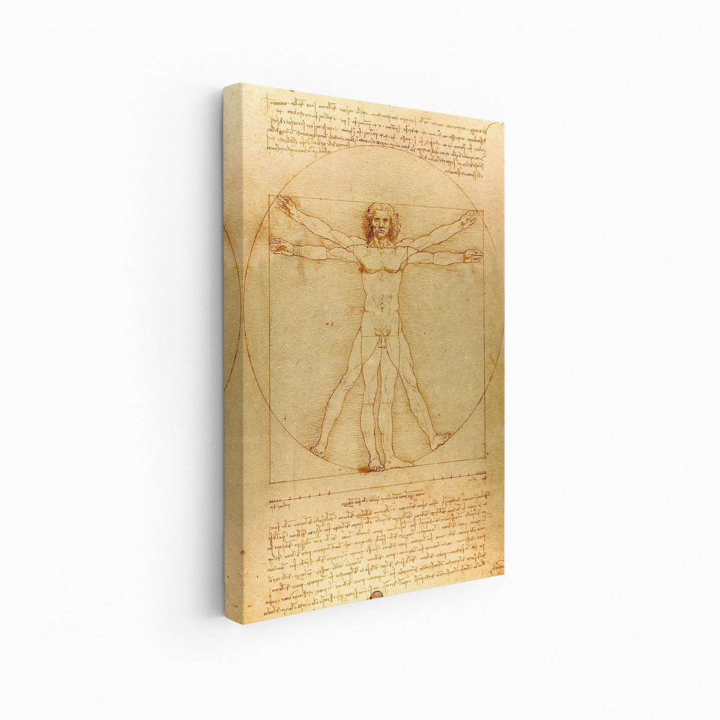 Vitruvian Man | Leonardo da Vinci | 1490