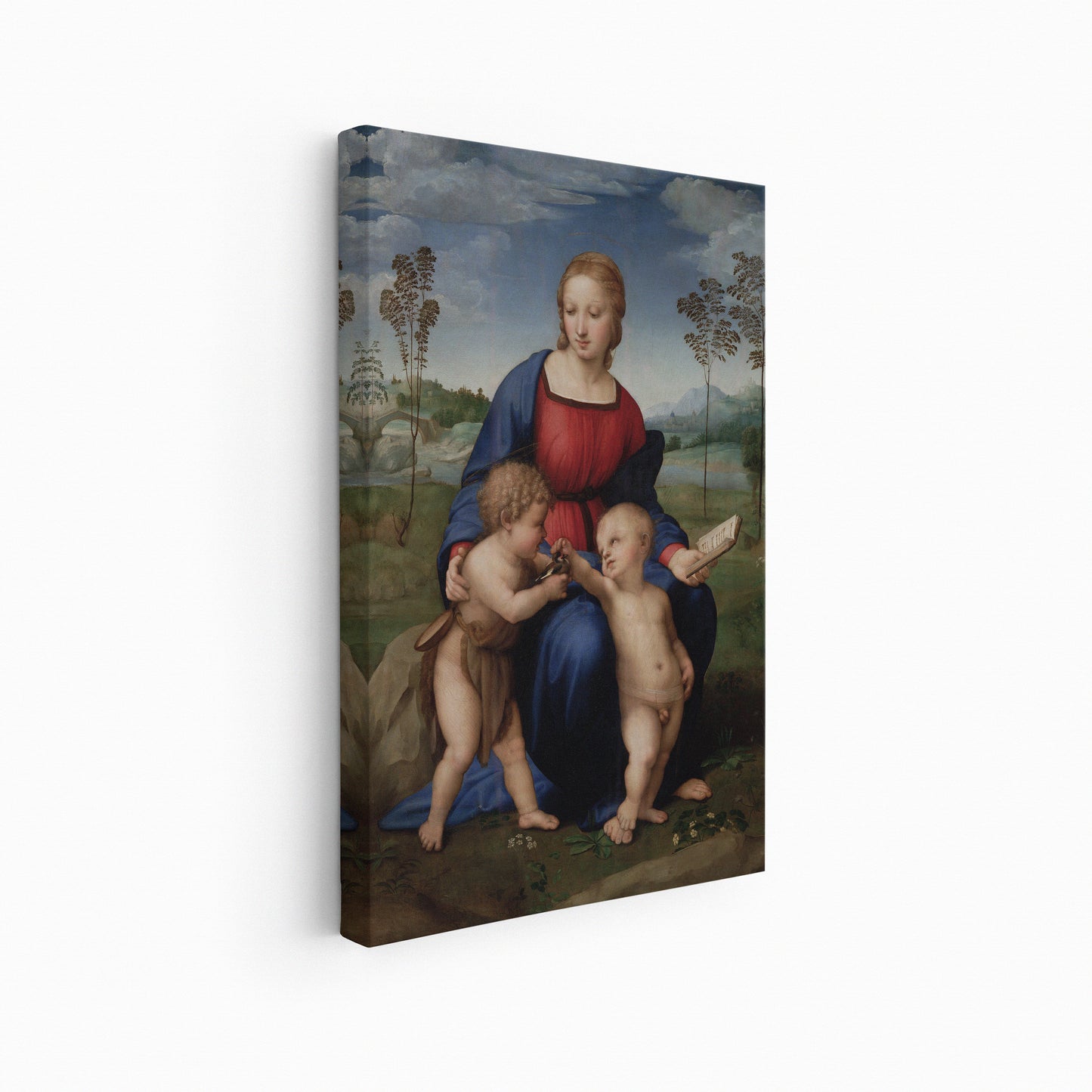 Madonna of the Goldfinch  | Raphael | 1505