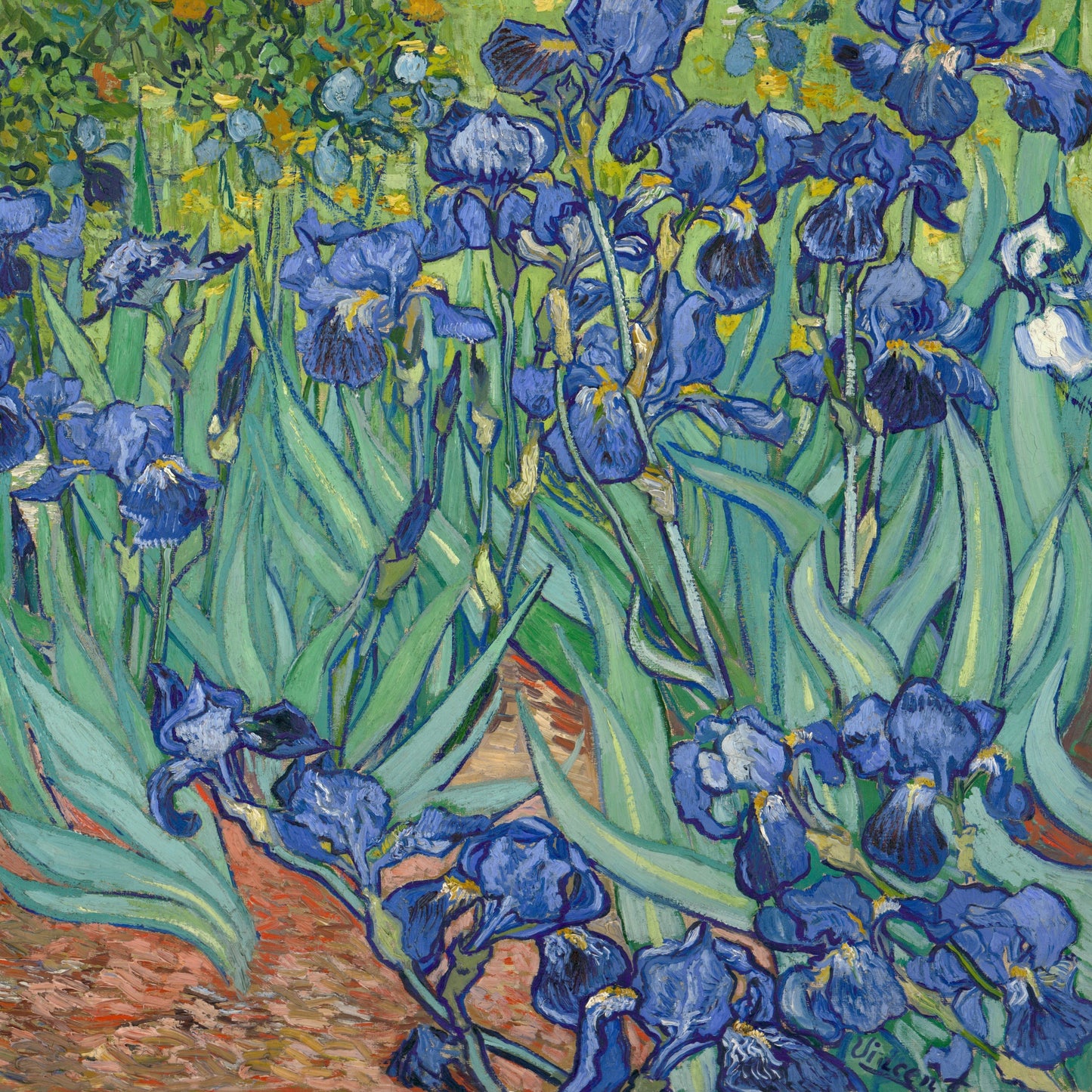 Les Iris | Vincent van Gogh | 1889