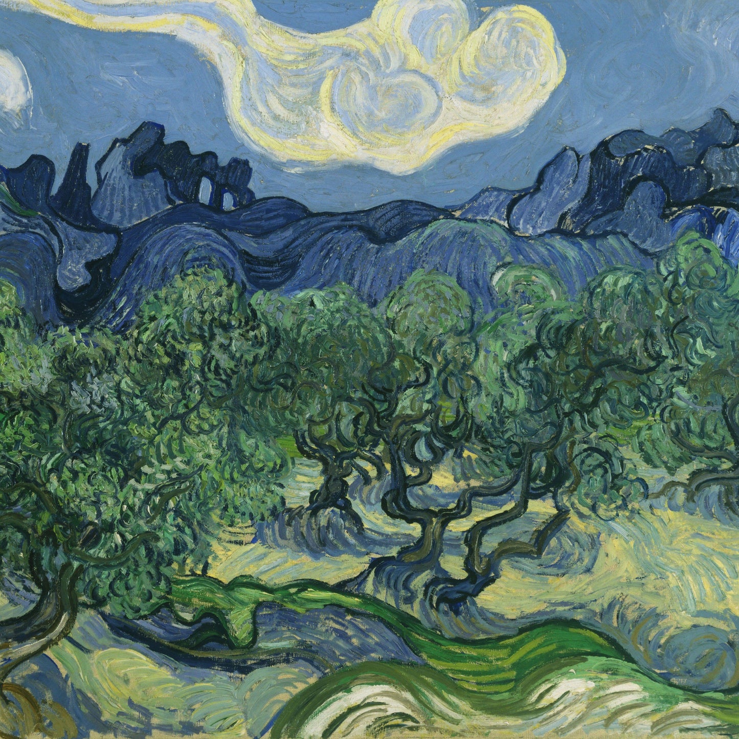 The Olive Trees | Vincent van Gogh | 1889