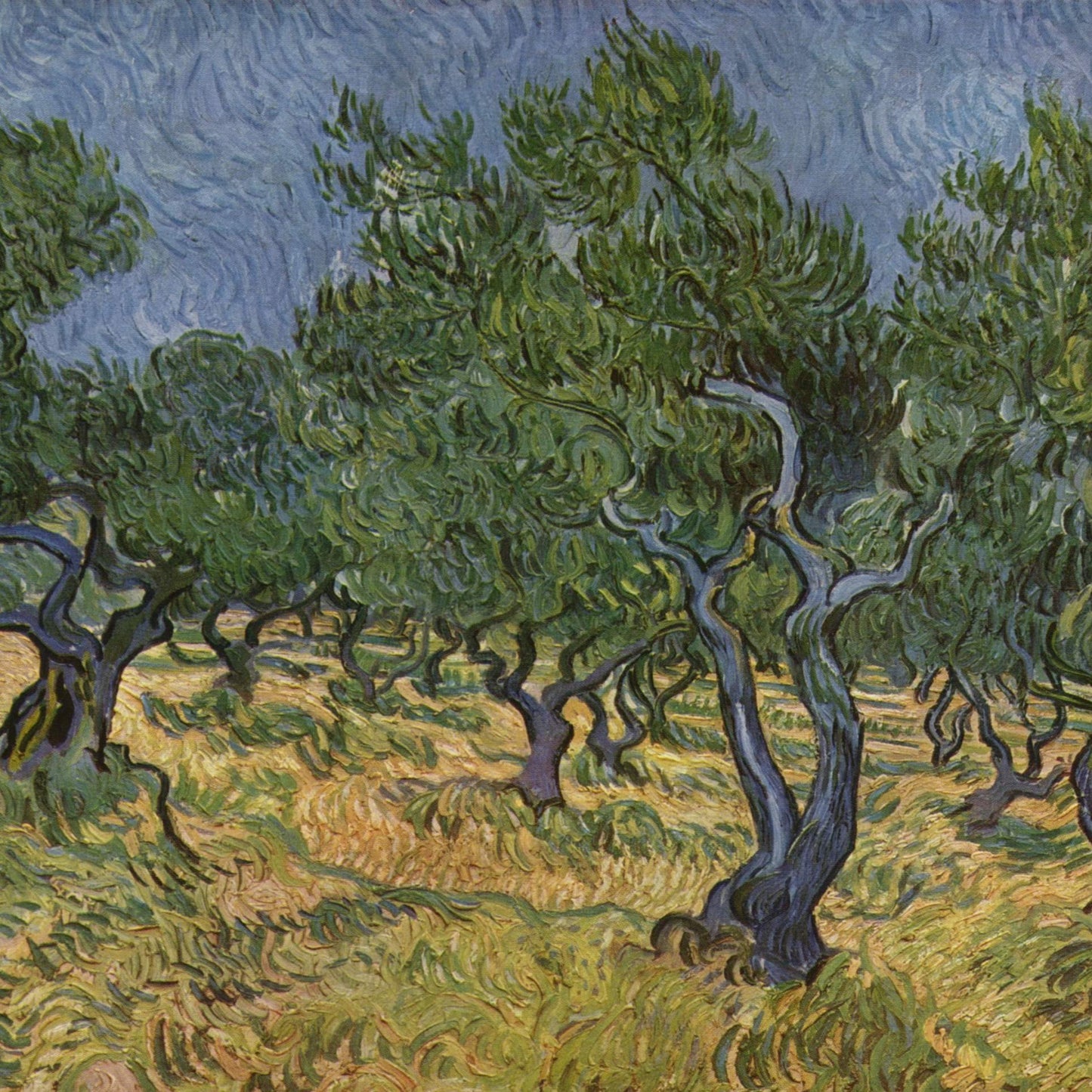 Olive Trees | Vincent van Gogh | 1889